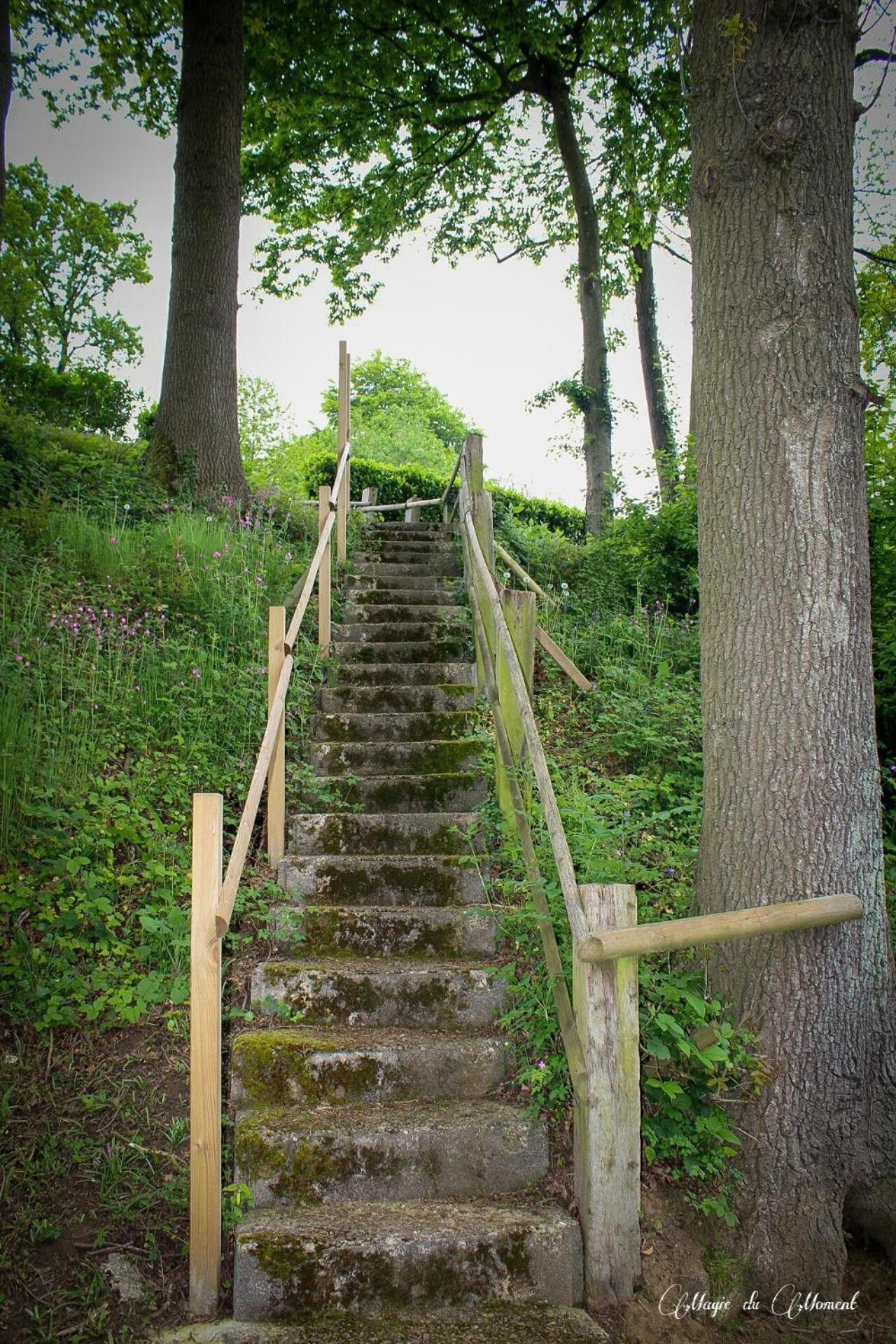 Camping La Sabliere Saint-Jans-Cappel エクステリア 写真