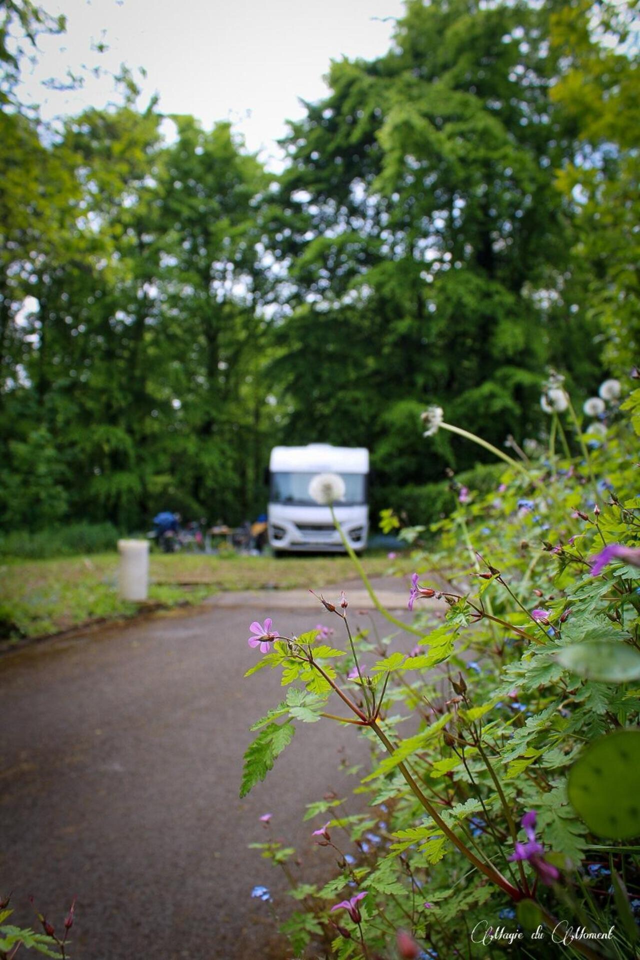 Camping La Sabliere Saint-Jans-Cappel エクステリア 写真